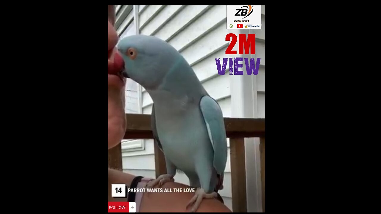 Beautiful parrots 🦜🕊️🐦🦜