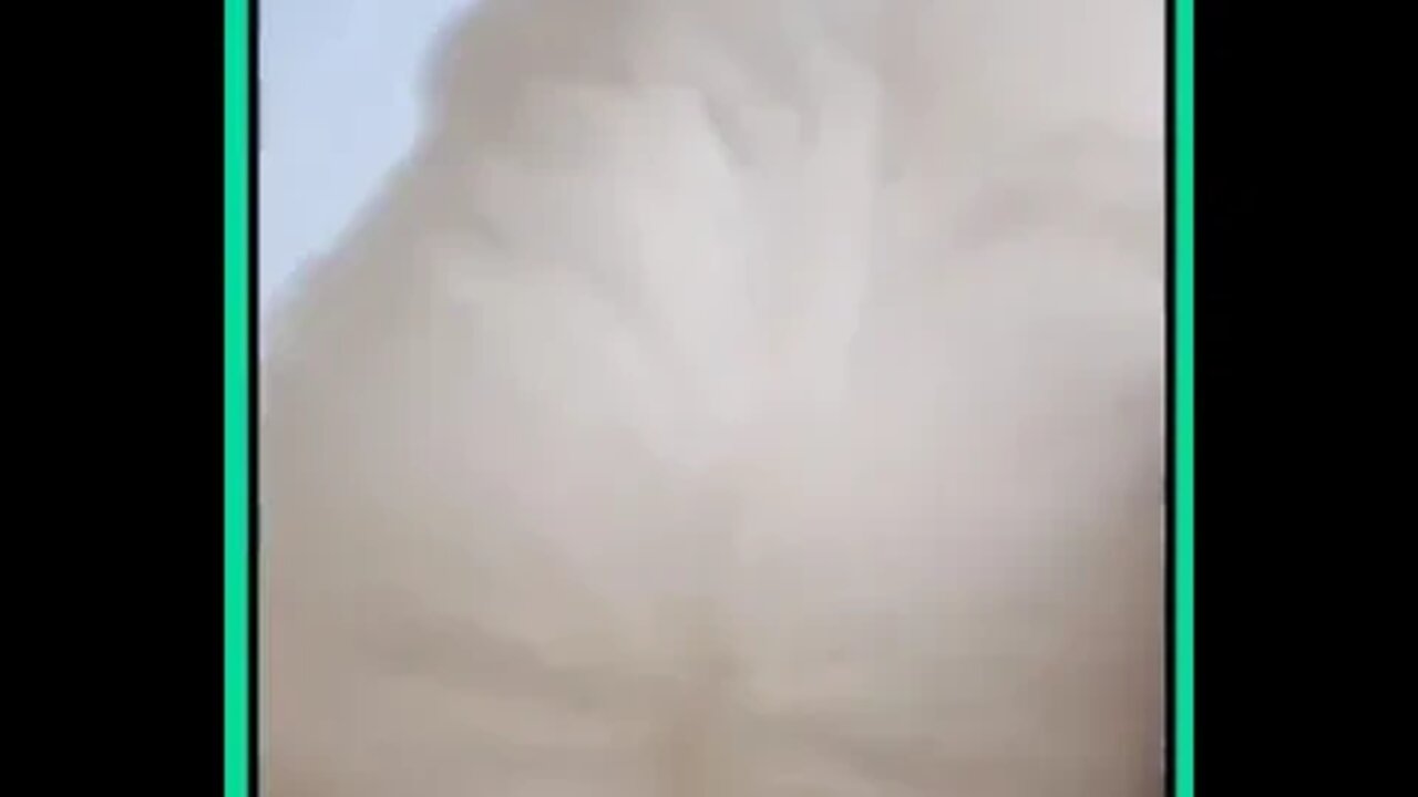 baby dogs funny moments
