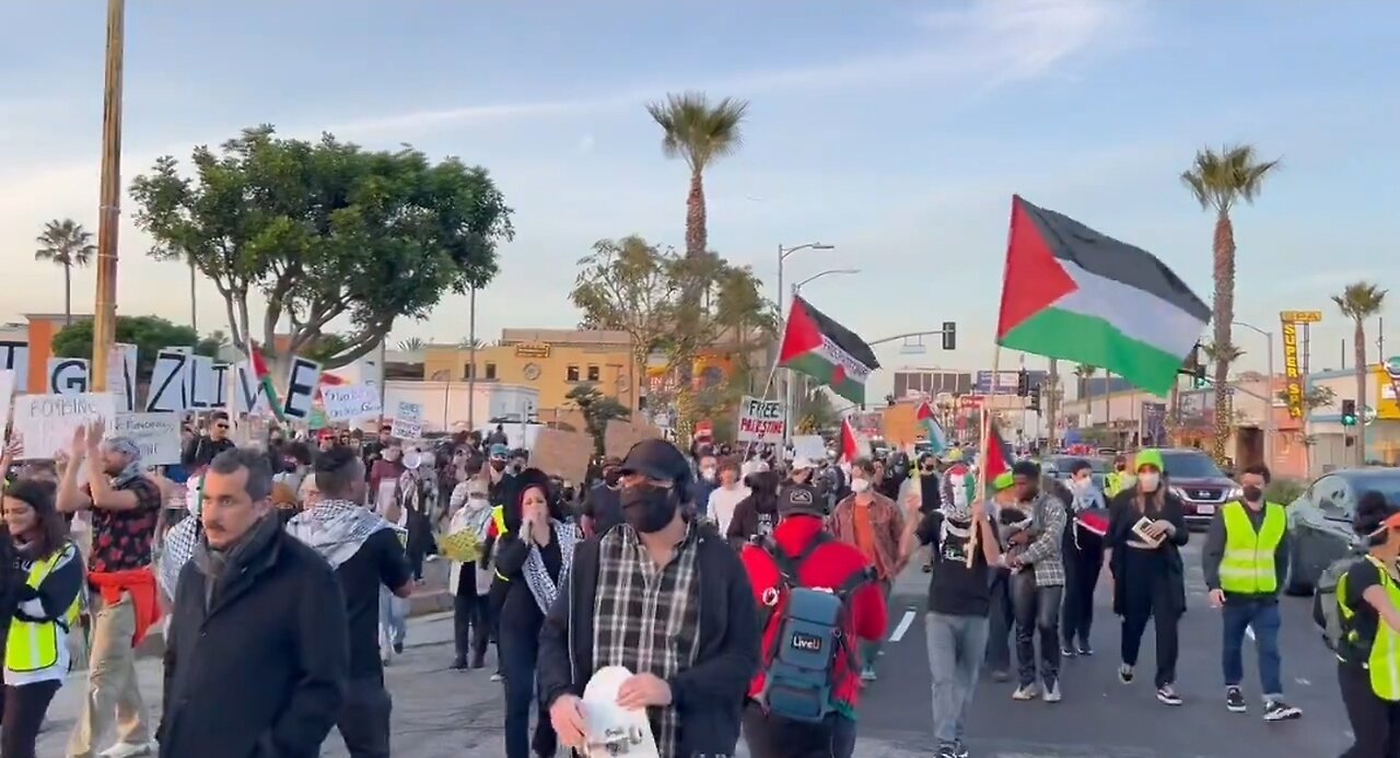 Pro-Hamas Protesters Block Traffic At LAX International Airport
