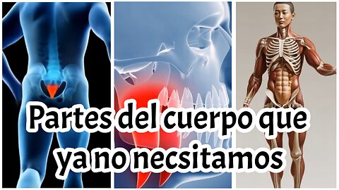 Partes del cuerpo que ya no necesitamos