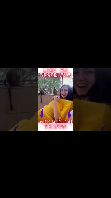 ANIMAIS MAIS ENGRAÇADOS DO MUNDO Cachorros engraçados e que fazem você rir #shorts