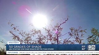 50 grades of shade: ASU studying how some shade is better than others