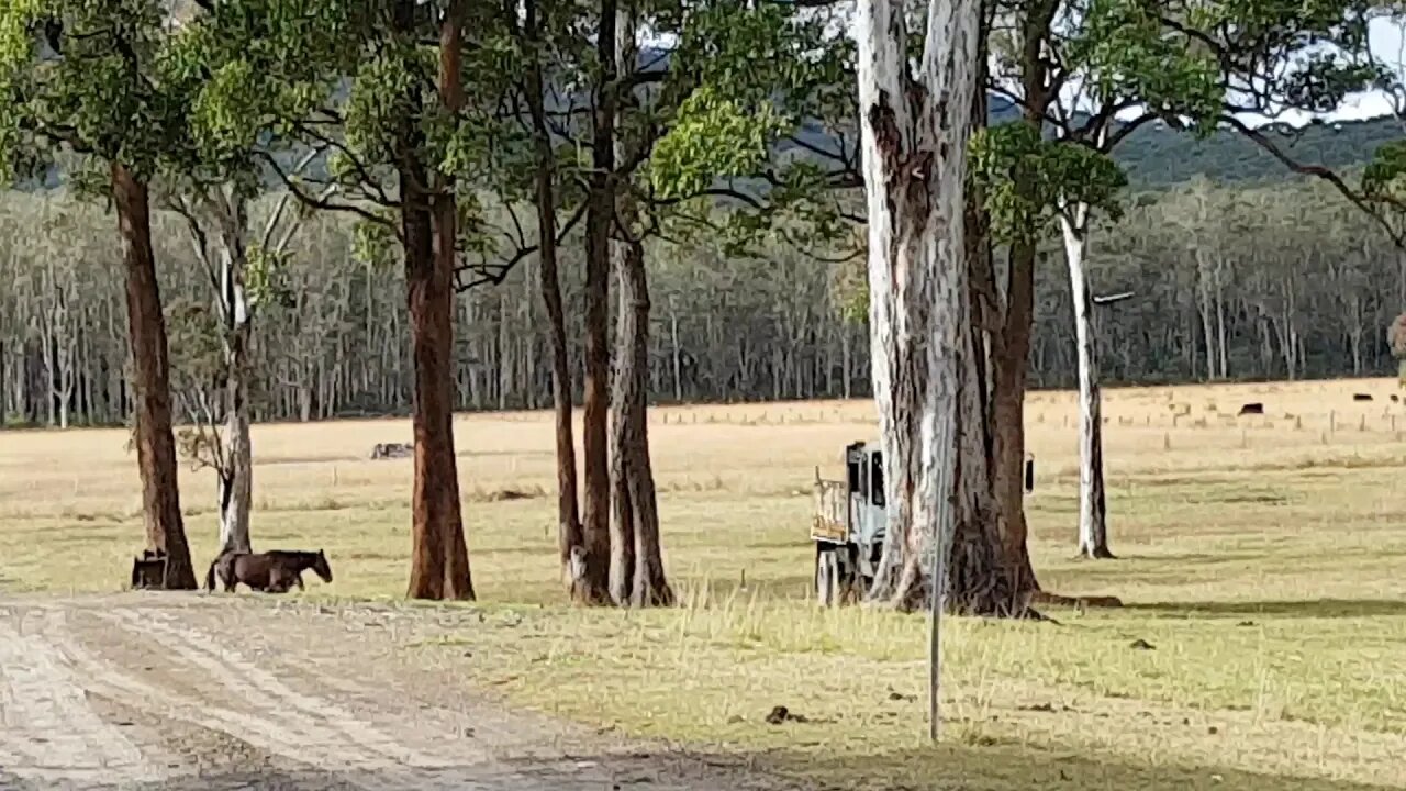 20180627_102522.mp4