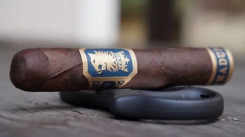 Team Review Recap: Drew Estate Undercrown Maduro Corona Pequeña