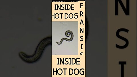 inside hot dog