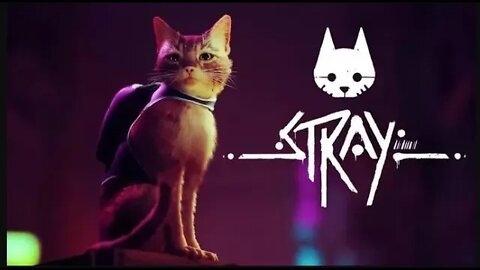 遊戲直播 | 我變成了一隻貓在地下城遊蕩 Stray ep1