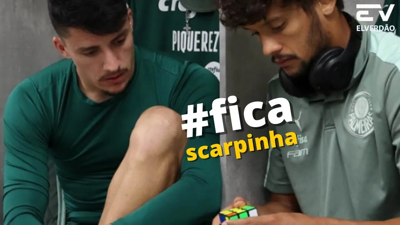 Piquerez Brincar e Pede Permanência; "fica scarpinha" Na Europa não tem.. #palmeiras #scarpa
