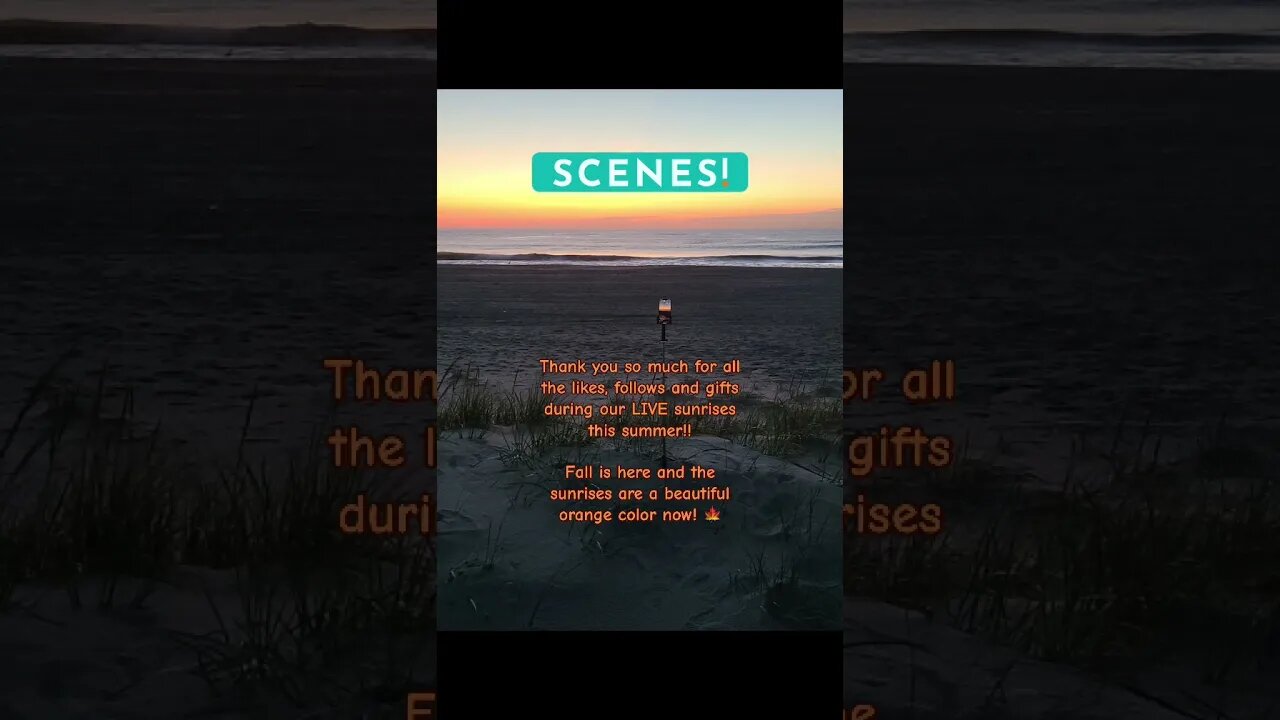 Thank you so much for all the likes, follows and gifts during our LIVE sunrises this summer!!Fall