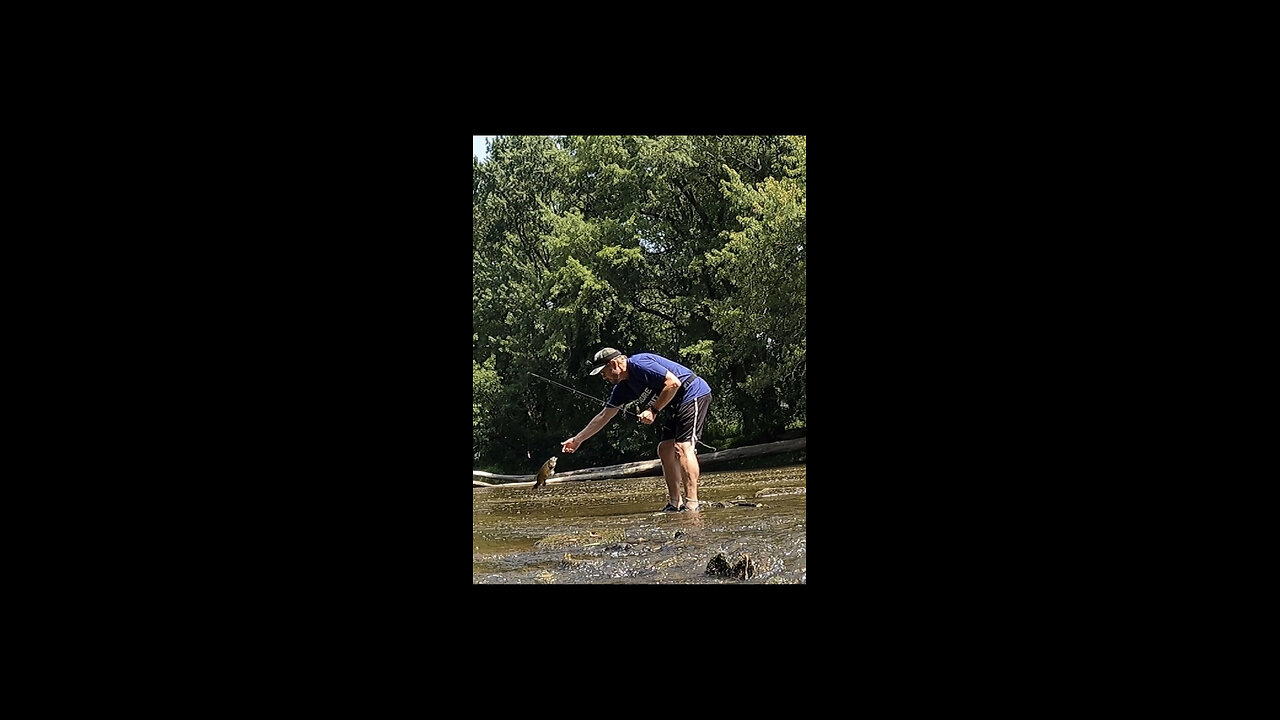 Summer Stream Fishing Outing