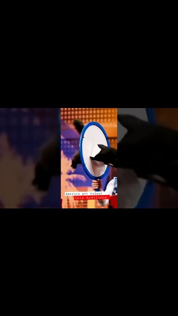 #persiancats #cats #cutecat #shorts #youtubeshorts #funnycats #americagottalent #auditions