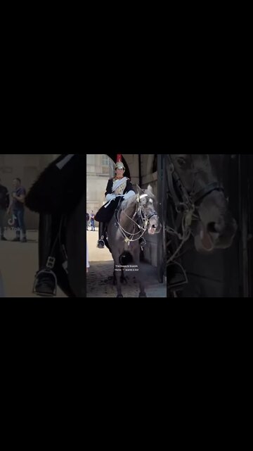 The Queen's Guard horse Scares 😱 a kid #horseguardsparade