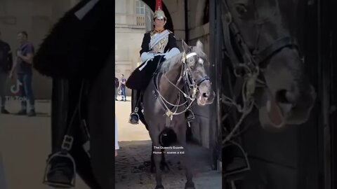 The Queen's Guard horse Scares 😱 a kid #horseguardsparade