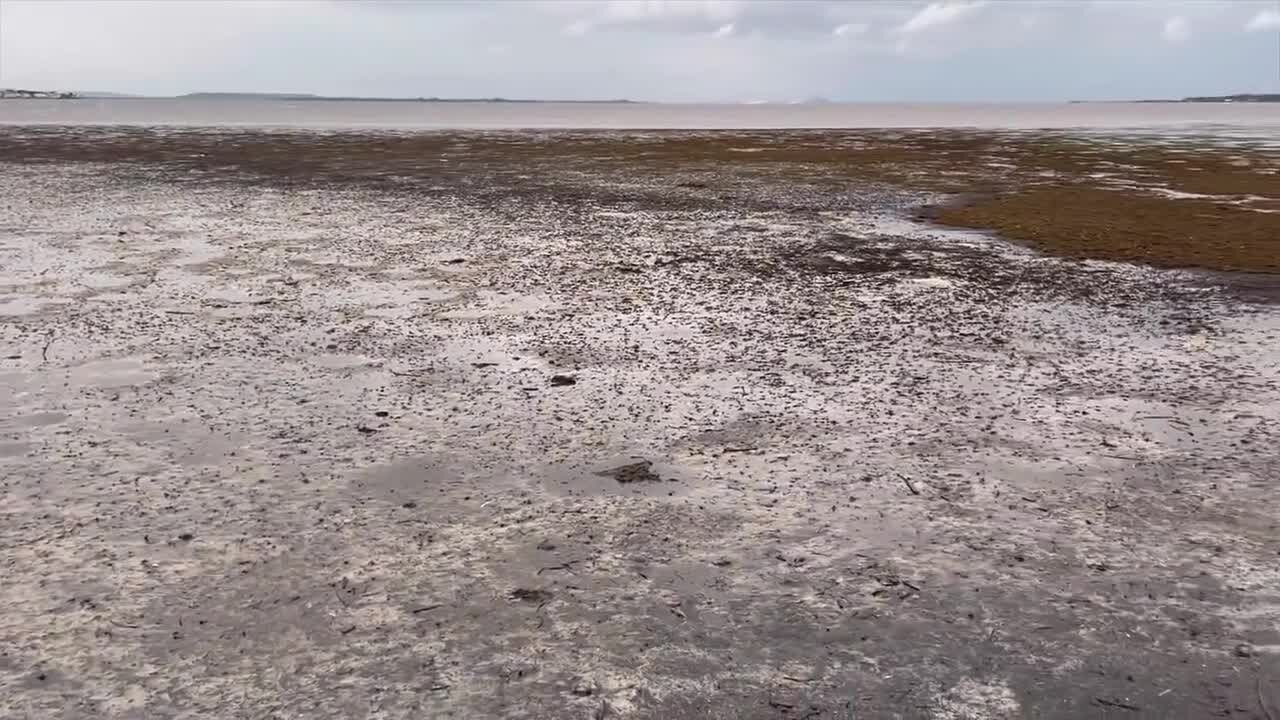 Hurricane Ian pulls water out of Tampa Bay