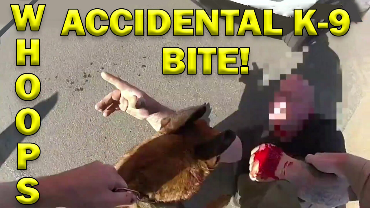 My Bad Accidental K-9 Bite On Video! LEO Round Table S06E29b