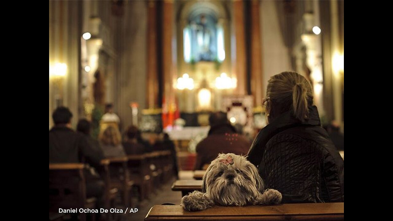 Religiosos e Cães, Ambos Têm Donos!