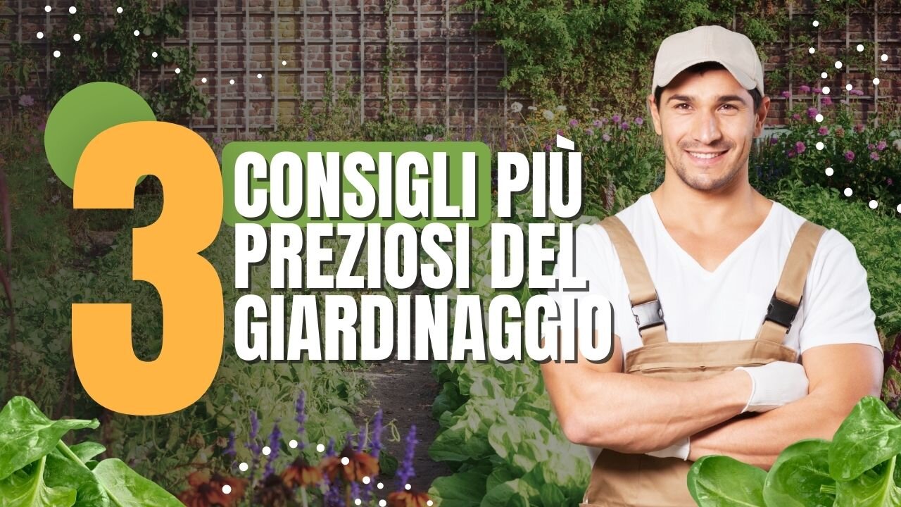 3 consigli più preziosi del giardinaggio