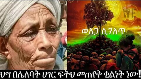 ህግ በሌለባት ሀገር ፍትህ መጠየቅ ቂልነት ነው