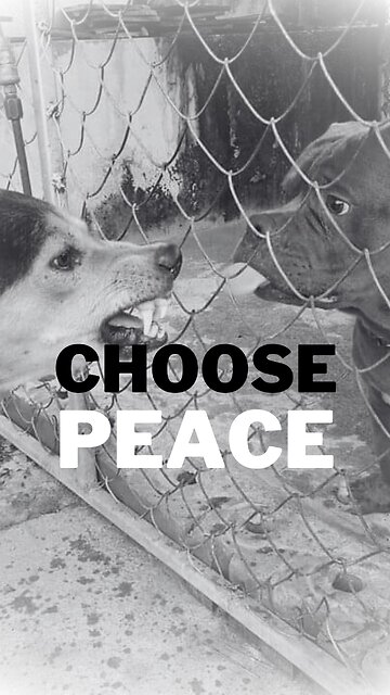 Mental Health Awareness: Protecting Inner Peace and Mental Health