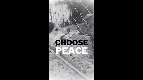 Mental Health Awareness: Protecting Inner Peace and Mental Health