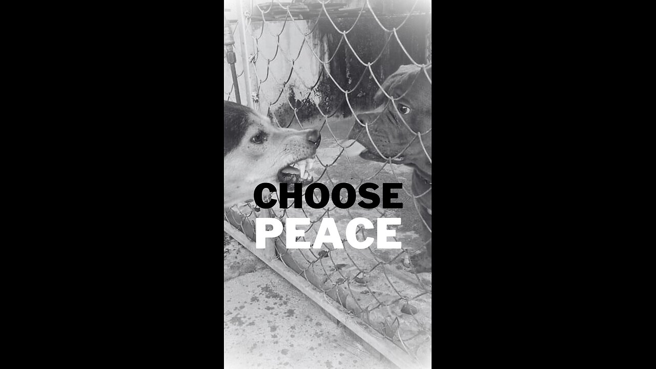 Mental Health Awareness: Protecting Inner Peace and Mental Health