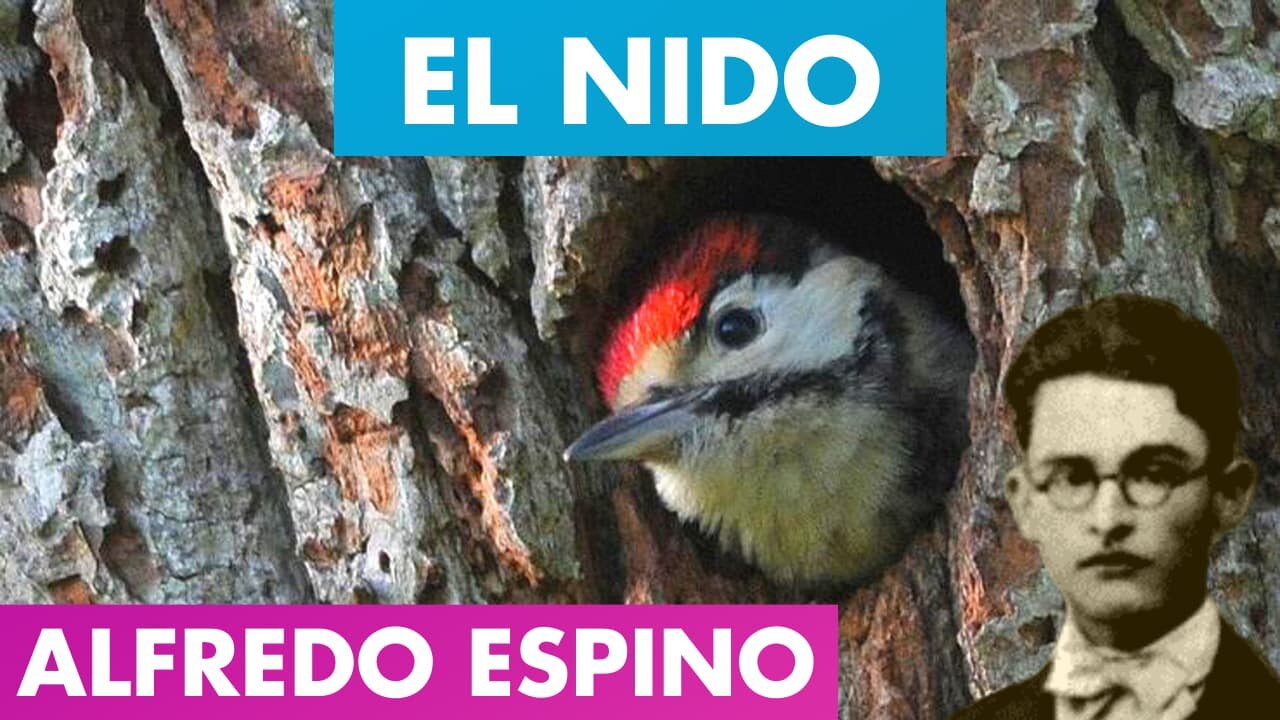 EL NIDO ALFREDO ESPINO 🐦🌲 | Jícaras Tristes Casucas 🌄 | Alfredo Espino Poemas - Valentina Zoe Poesía