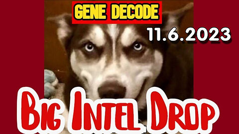 Gene Decode Dumbs Intel 11/7/23..