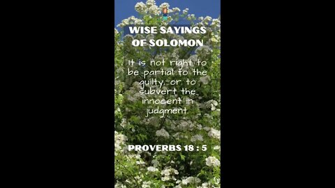 Proverbs 18:5 | NRSV Bible - Wise Sayings of Solomon