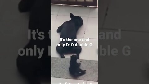 MEME is the one and only D-O double G #shorts