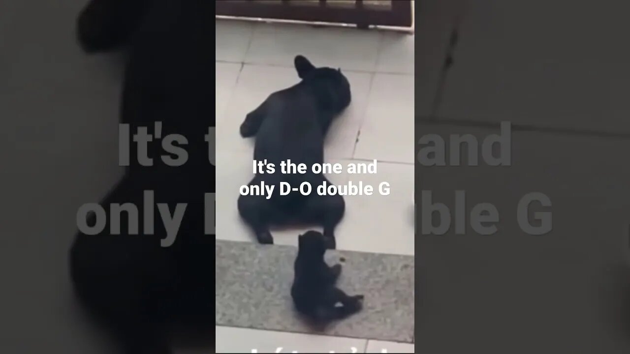 MEME is the one and only D-O double G #shorts