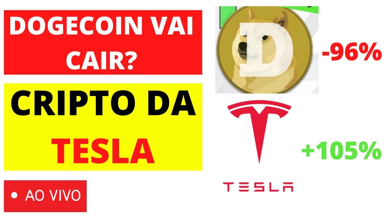 DOGECOIN VAI CONTINUAR A SUBIR CRIPTOMOEDA DA TESLA