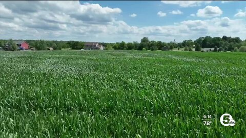 Two Americas: Farmers deal with inflation as costs triple, quadruple