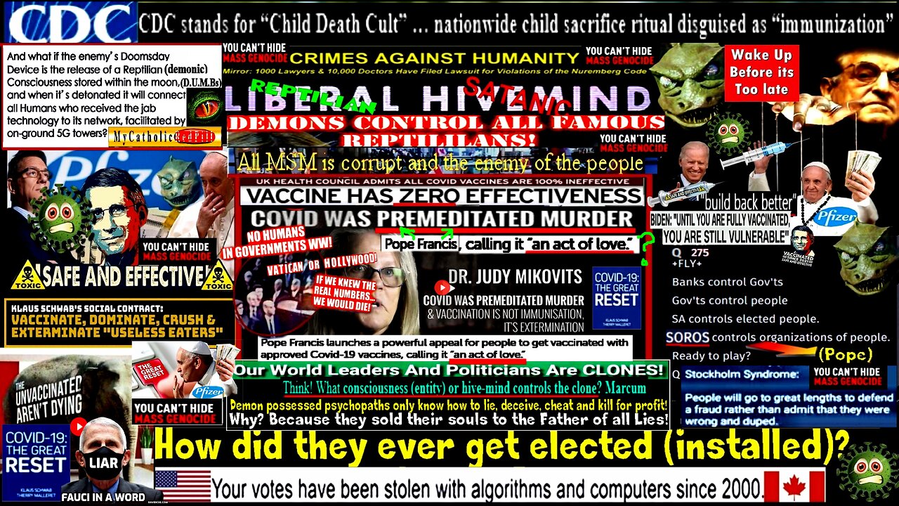 Dr Judy Mikovits - Covid Was Premeditated Murder & Vaccination Is Not Immunization