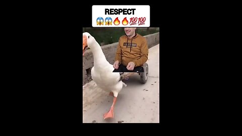 respect video