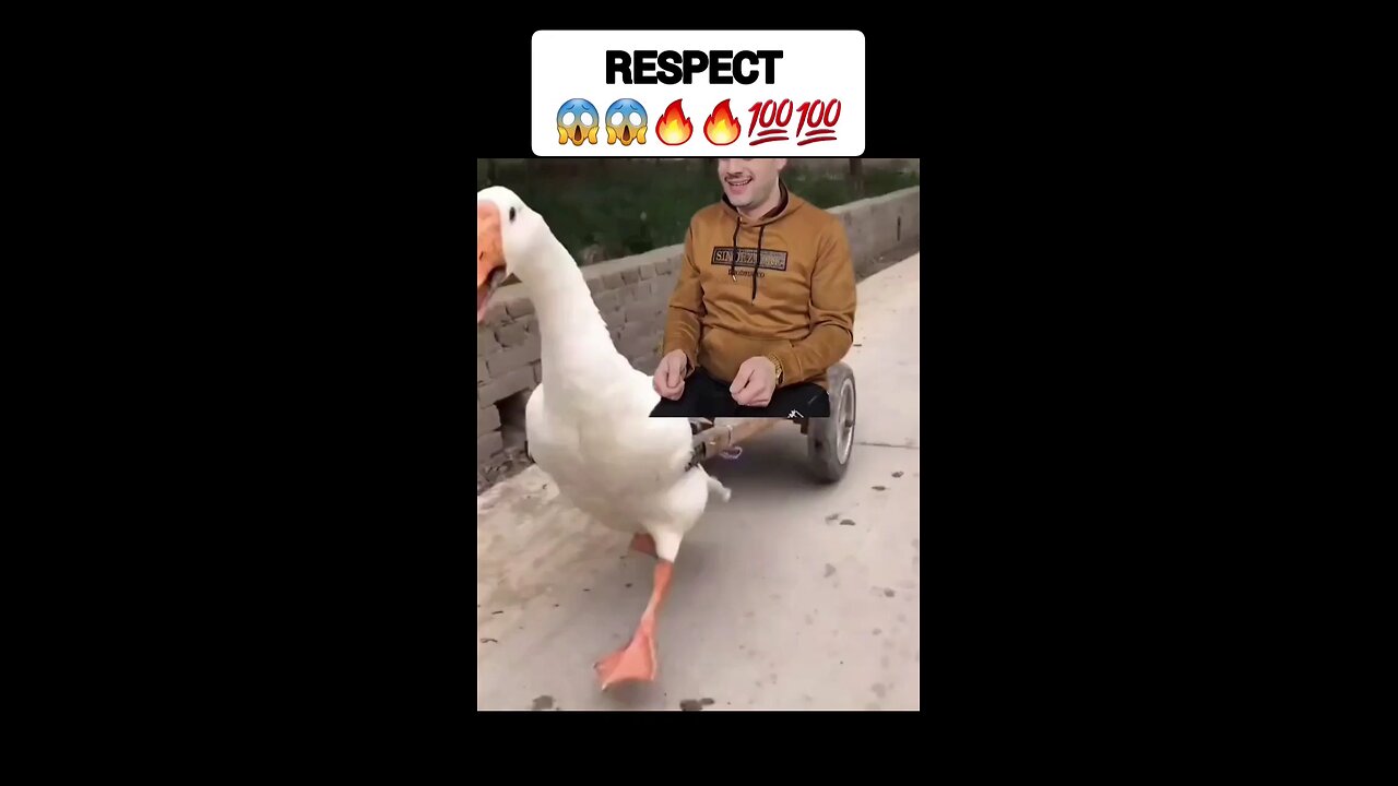 respect video