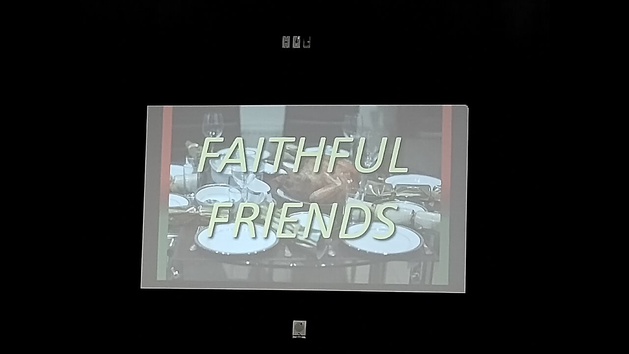 Faithful Friends Christmas Lunch and Show