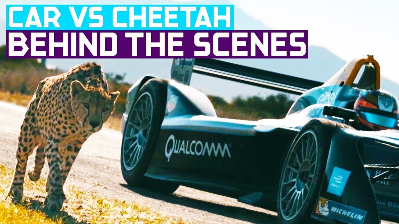 Drag Race: Formula E Car vs Cheetah