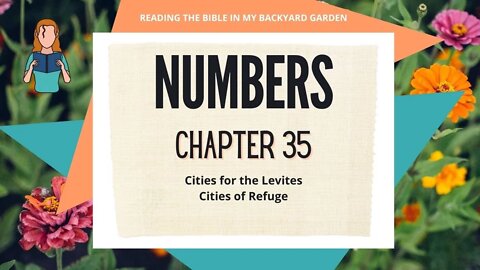 Numbers Chapter 35 | NRSV Bible Reading