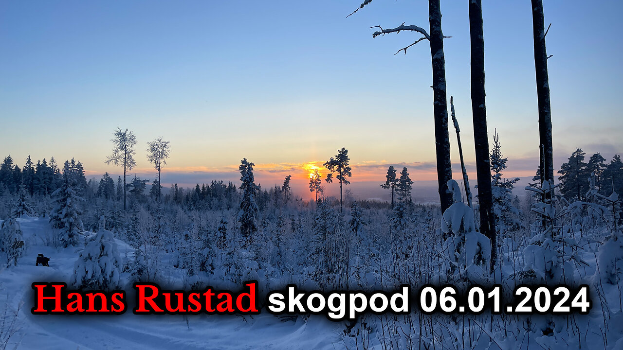 Skogpod 6. januar 2024