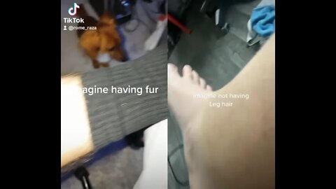Got fur?