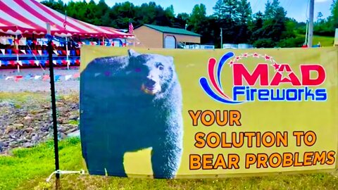 Your Solution To Bear Problems 🧸