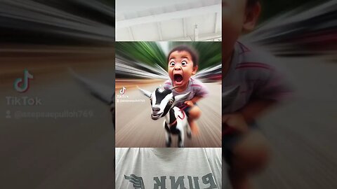 kid goat #shortvideo #shortsvideo 