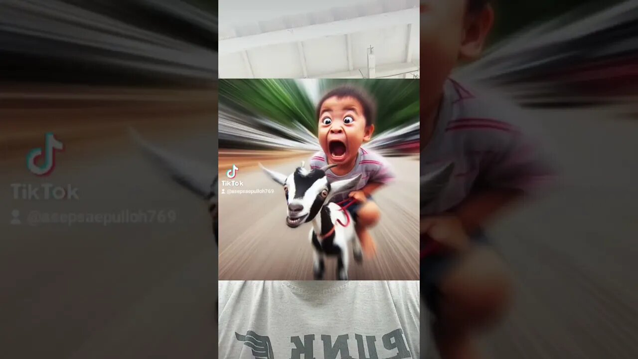 kid goat #shortvideo #shortsvideo