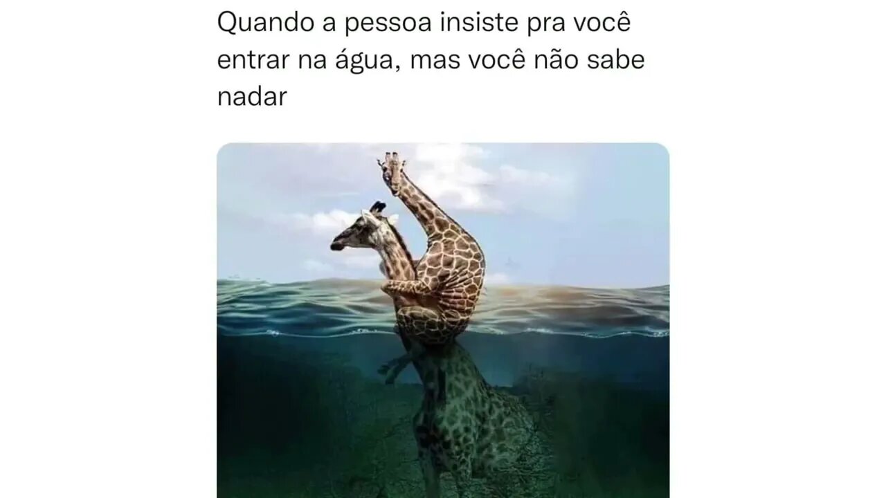 ROUND 6 BATATINHA FRITA 1 2 3 - MEMES