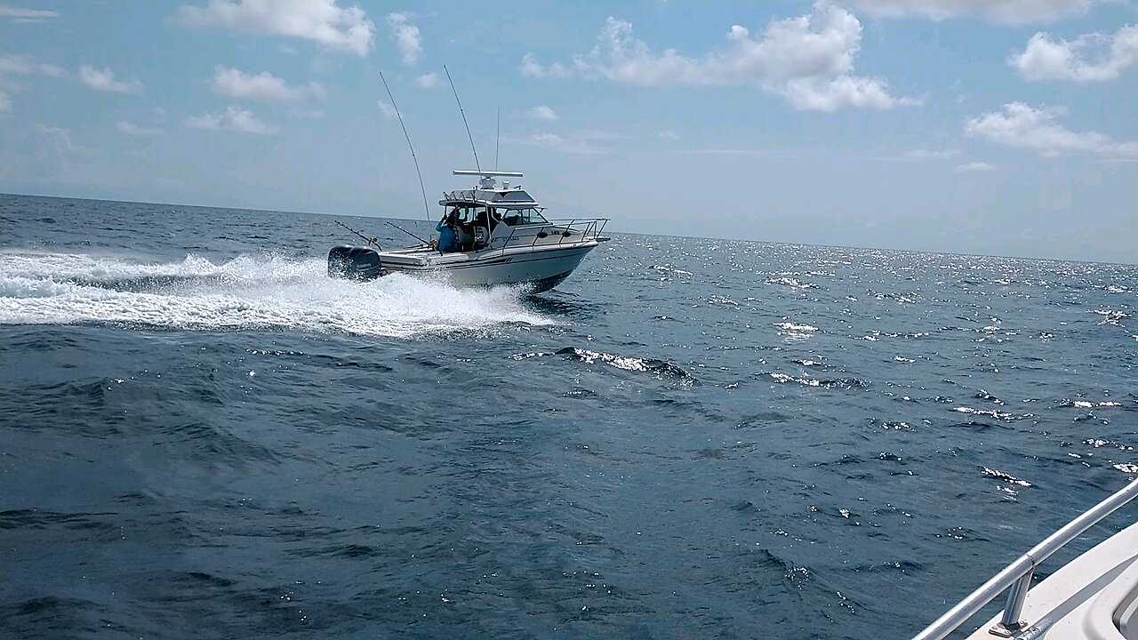 running to the Bahamas on the old Mako