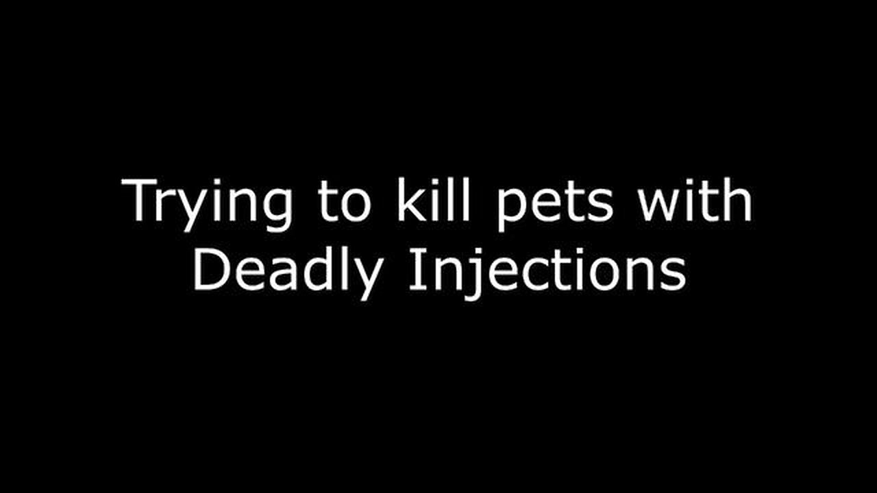 W.H.O - Trying to kill pets with Deadly Injections (IMAGE ONLY)