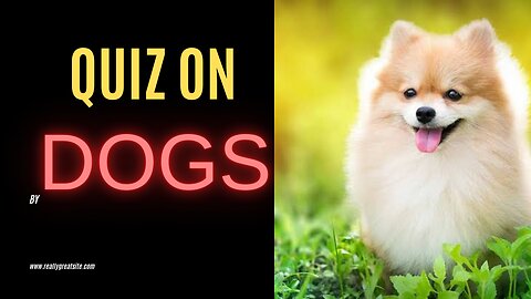 Quiz on Dogs