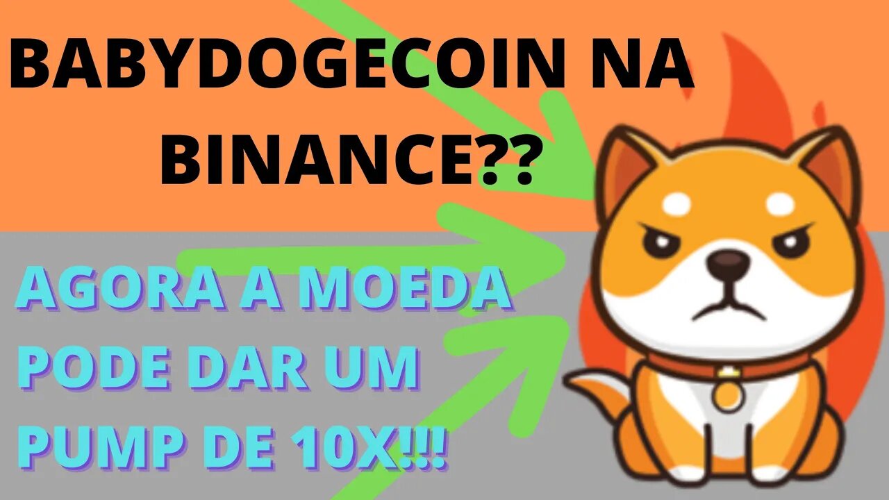 #babydogecoin na Binance - 67