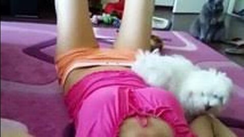 Funny Animals videos 😂