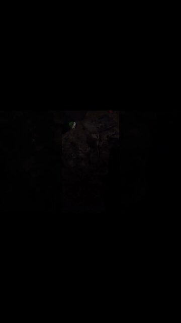 pegando rato na ratoeira pt2 #shorts