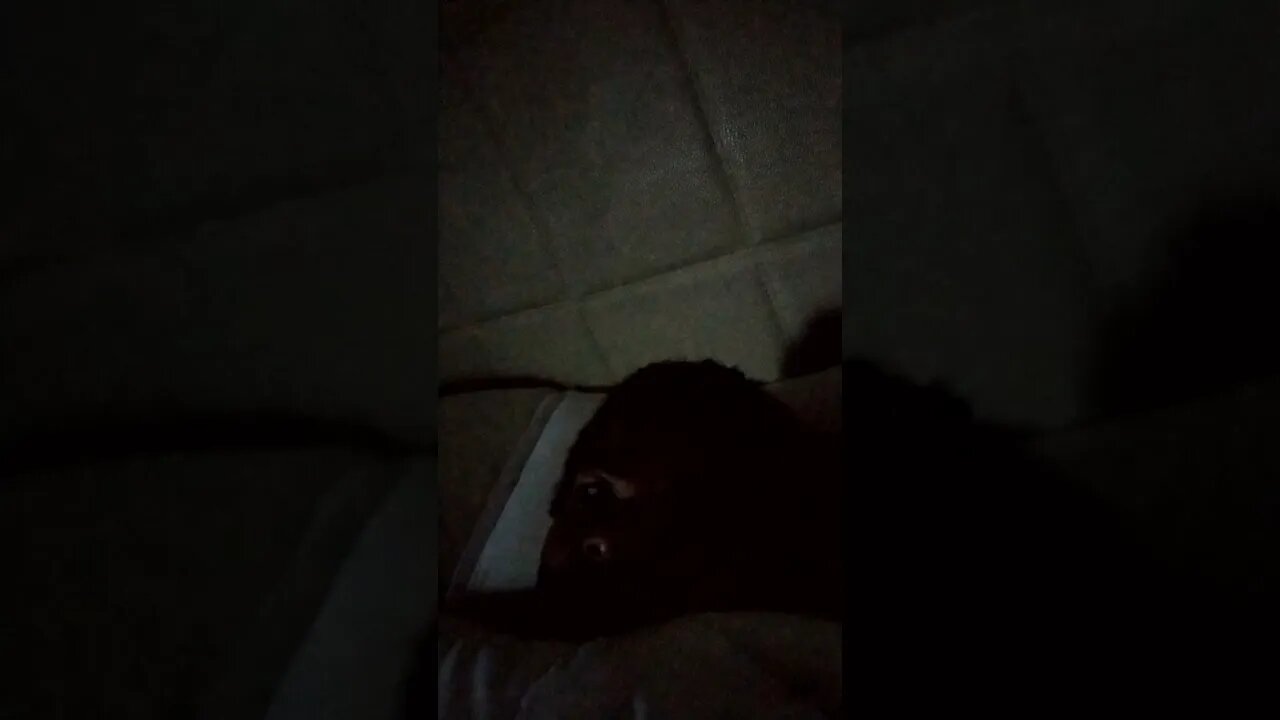 9 minute Gang Stalking torture session. Skip to @6:25